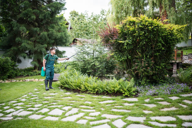 Best Mosquito Control Services  in Fairwood, WA