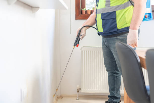 Best Ant Control Services  in Fairwood, WA