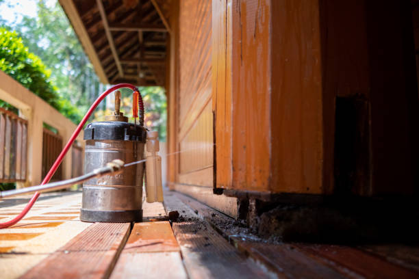 Best Exterminator Services  in Fairwood, WA