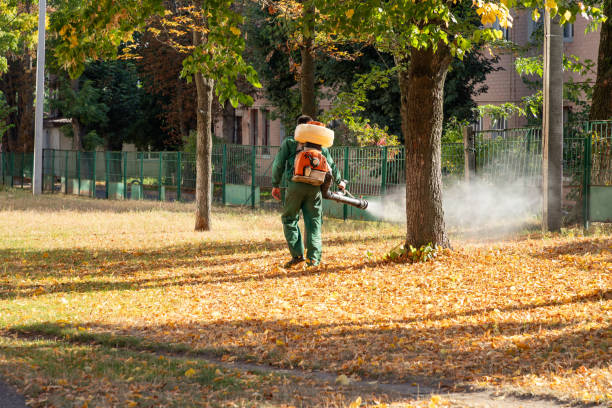 Pest Control Cost in Fairwood, WA