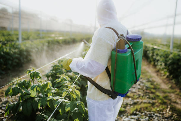 Best Cockroach Control Services  in Fairwood, WA